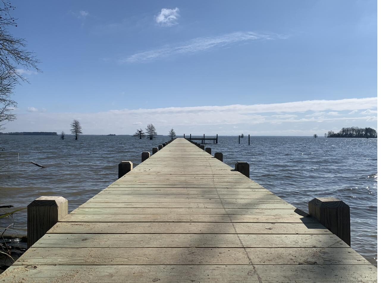 Dock reaching into Lake Marion toward the Santee Cooper reservoir, SC